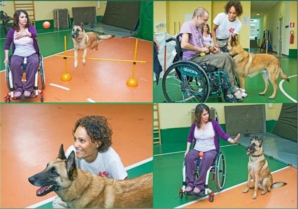 immagine Pet Therapy all' Ospedale Niguarda di Milano: Happy ed Angel, dieci anni di amore