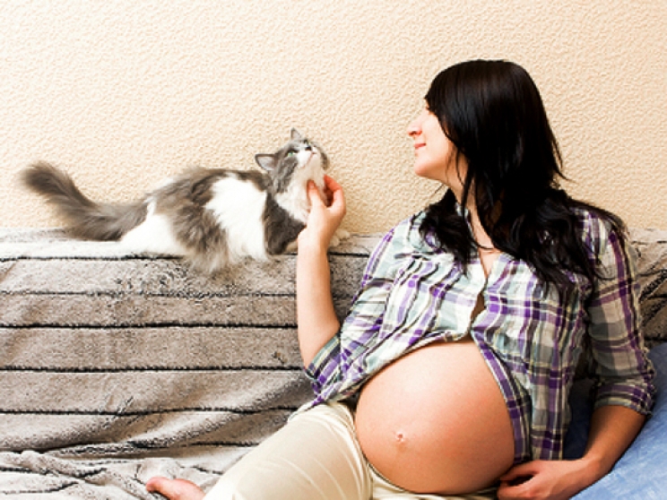 immagine Il rapporto tra le donne e i gatti